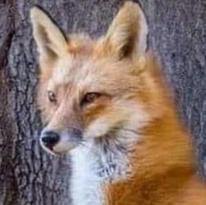 Meet your Posher, Danute dana